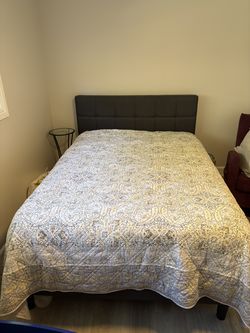 Levtex Quilt for Full Bed & Two Shams