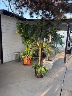Artificial trees for sale 180 ea