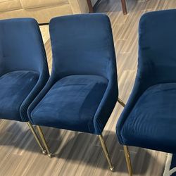 Dinning Table Chairs