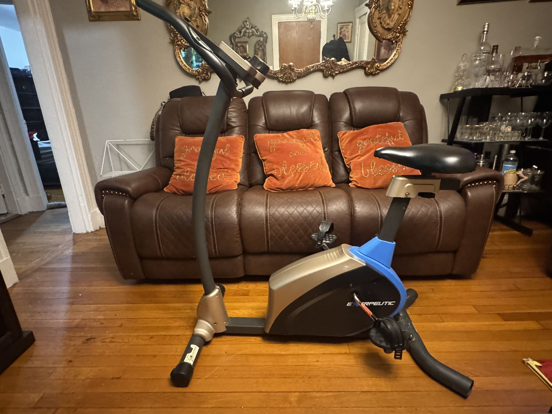 Stationary Exerpeutic Bike