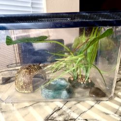 Reptile Or Fish Tank