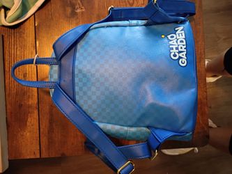 Back pack purse