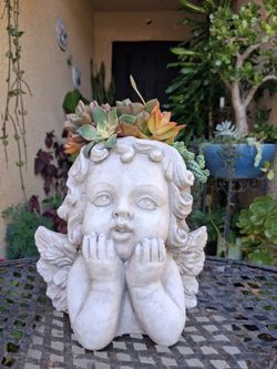 Small Succulent Arrangement $30