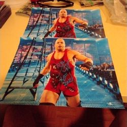 WWE Hall Of Fame Ron Van Damme