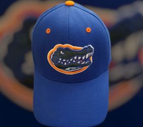 Florida Gators Top Of The World Hat