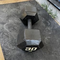 30lbs Dumbbell Weights