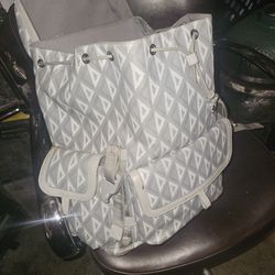 Dior Backpack/purse
