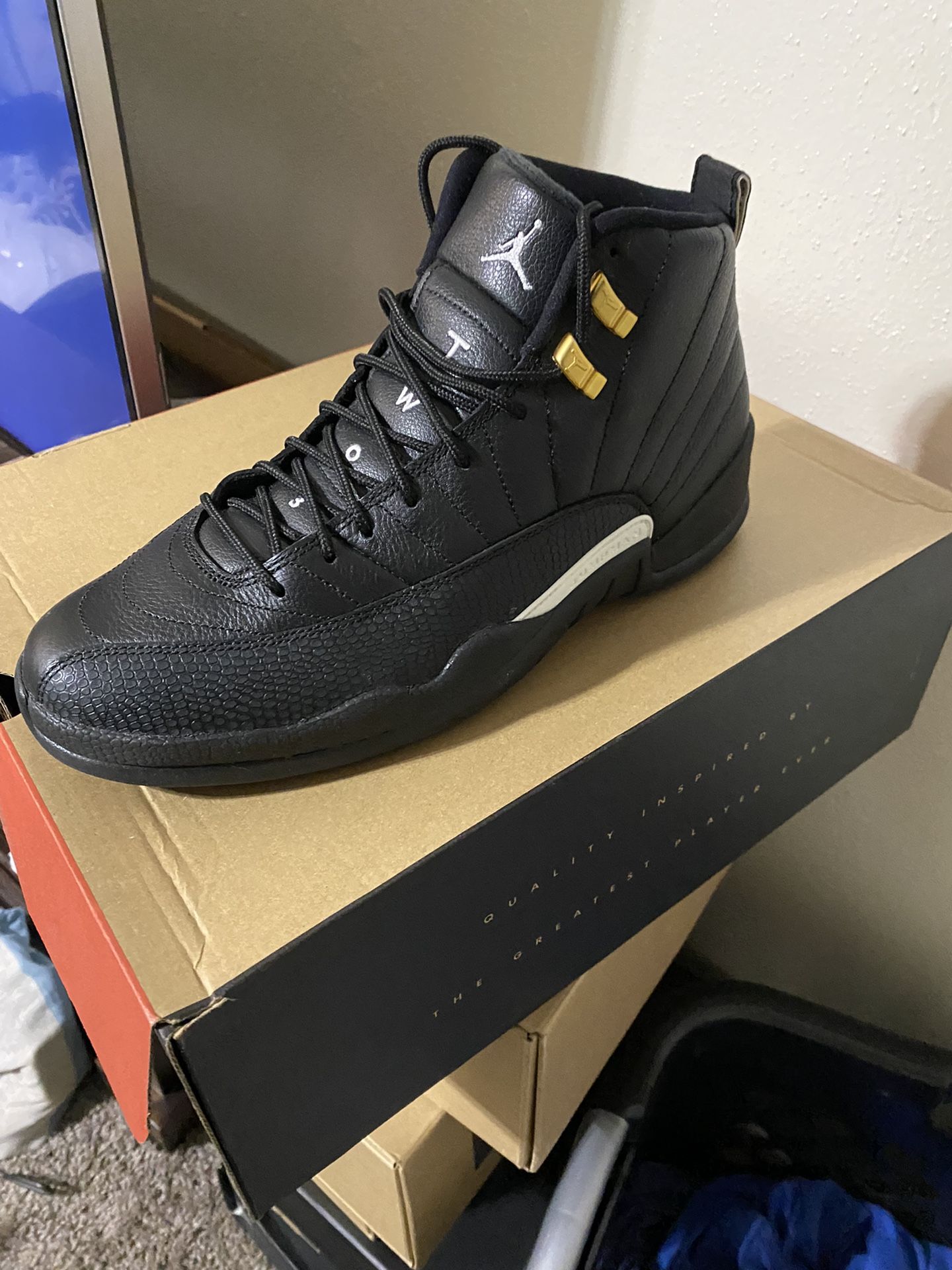 Jordan 12 Máster