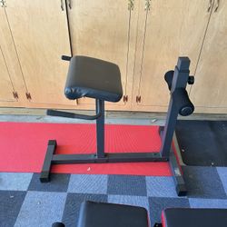 Back Extension Machine 