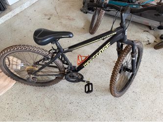 Kids mongoose excursion