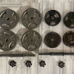 One In Weight Plates 