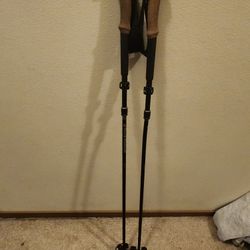 Black diamond alpine flz 120-140 cm