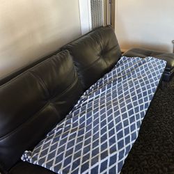 Futon Couch