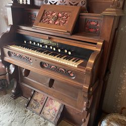 Antique Organ 