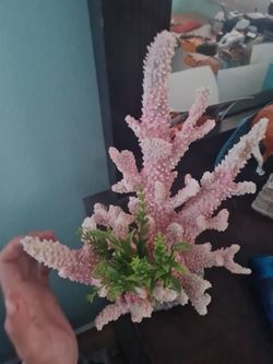 Fake coral