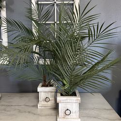 Table Decor