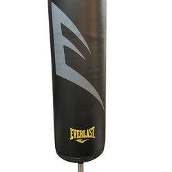 Everlast Punching Bag /Training bag/