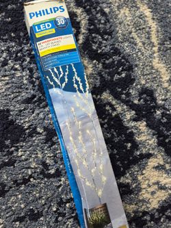 LED Lights