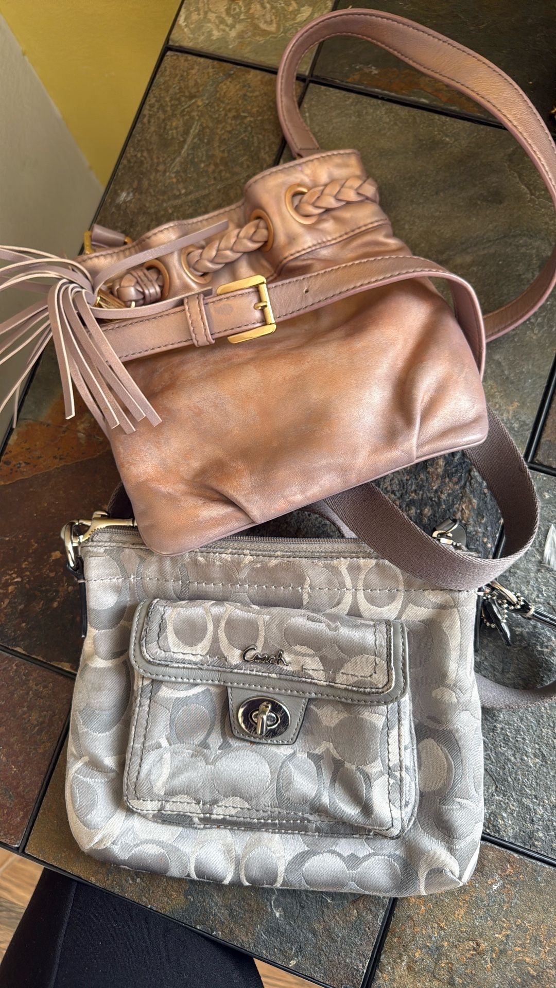 MK And Coach Bag