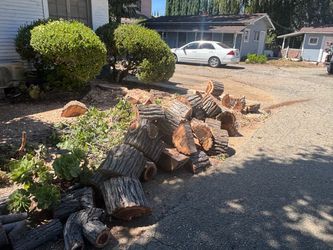 Fired wood