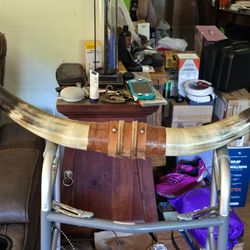 Cattle horns