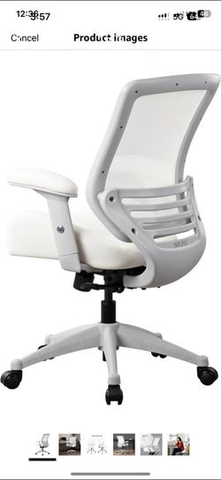 Boliss Ergonomic office chair