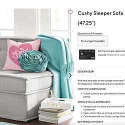 Pottery Barn Teen Cushy Sleeper Sofa 