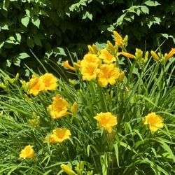 TWO-DAY MOVING SALE This Weekend 4/25 & 4/26 