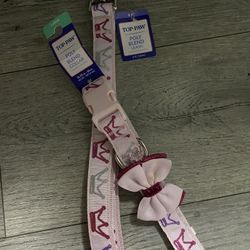 Leash And Collar Set 