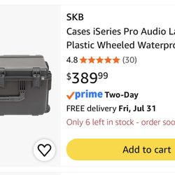 SKB Carrying Case 