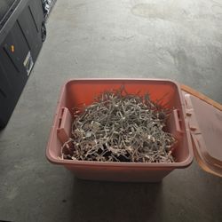 Outdoor Christmas Lights