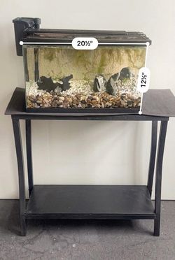 Fish tank aquarium