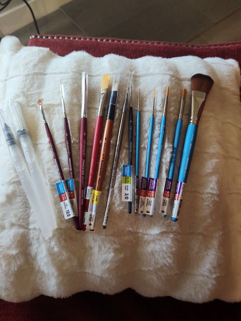 PROFESSIONAL Paint Brushes And Paint