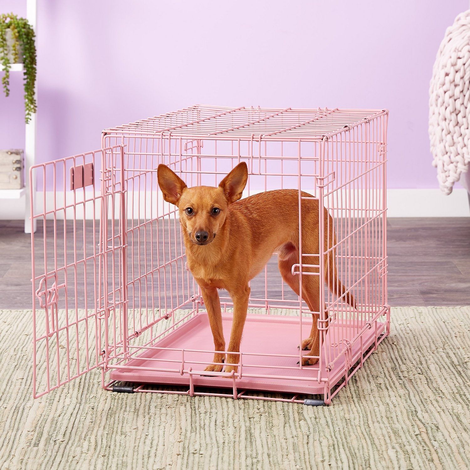 Pet Crate for Small Dogs (pink)