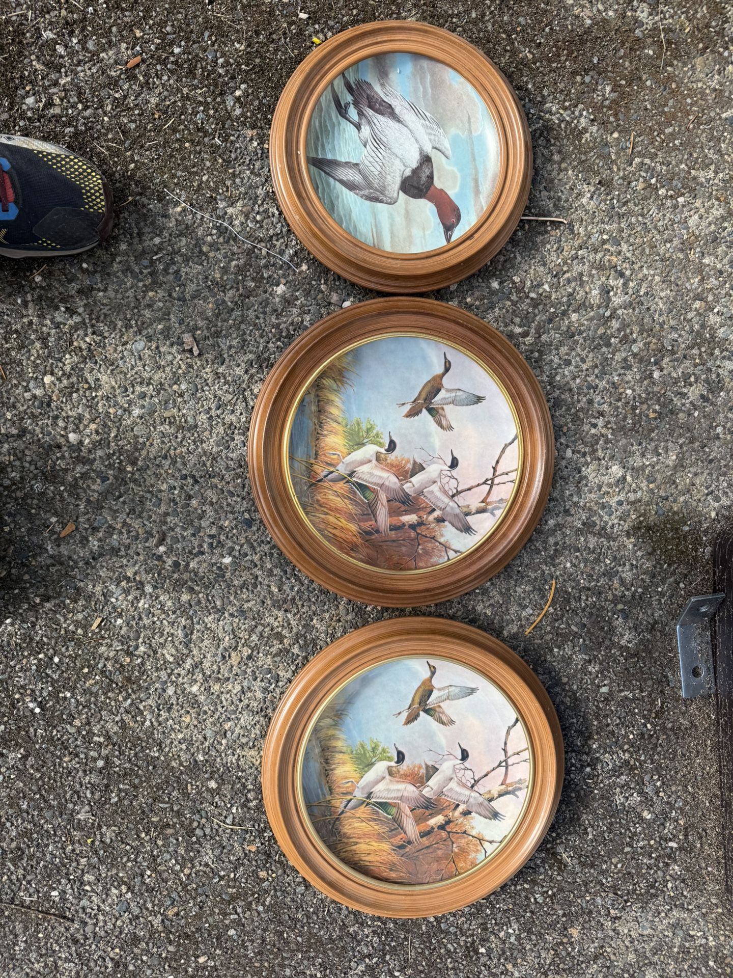 Vintage Collectible Duck Porcelain Plates Franklin Porcelain