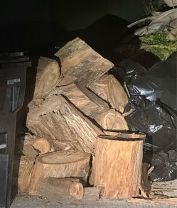 FREE Eucalyptus wood for your fire pit