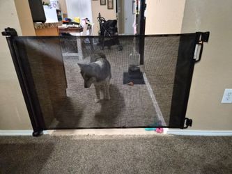 Retractable safety gate for pets/children
