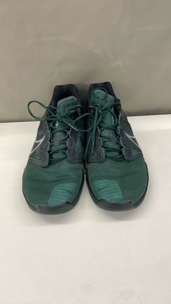 Nike shoes.  Item No 298 (Shopgoodwill)