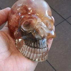 Skull Handmade From Resin