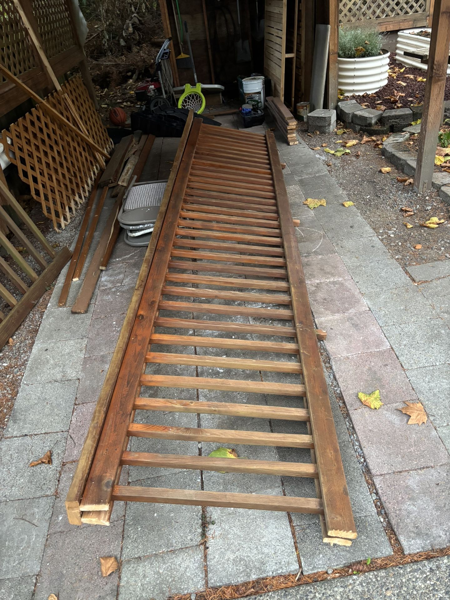Wood Rail