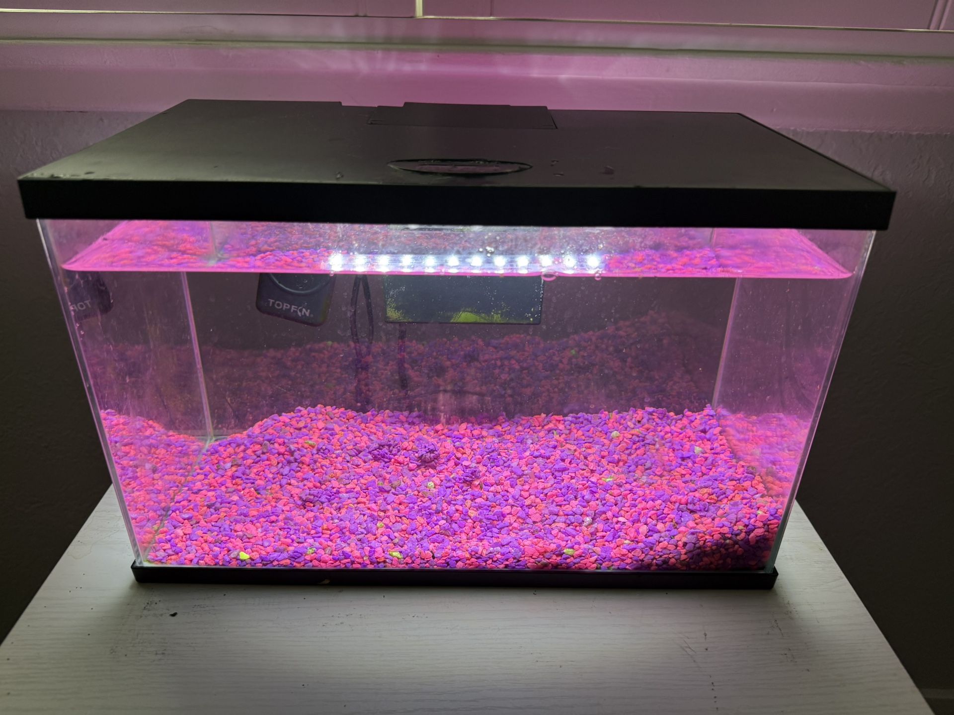 10gal Fish Tank