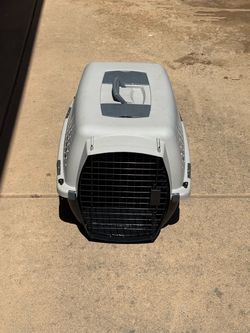 Pet Travel Carrier