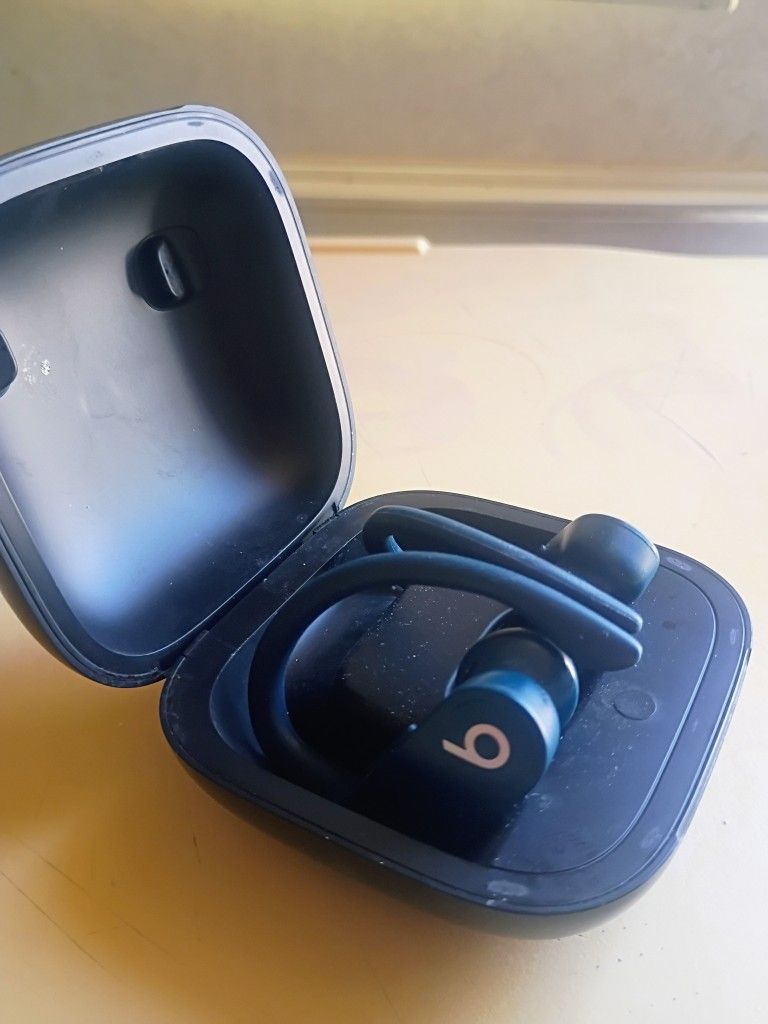 Ear beets Pro