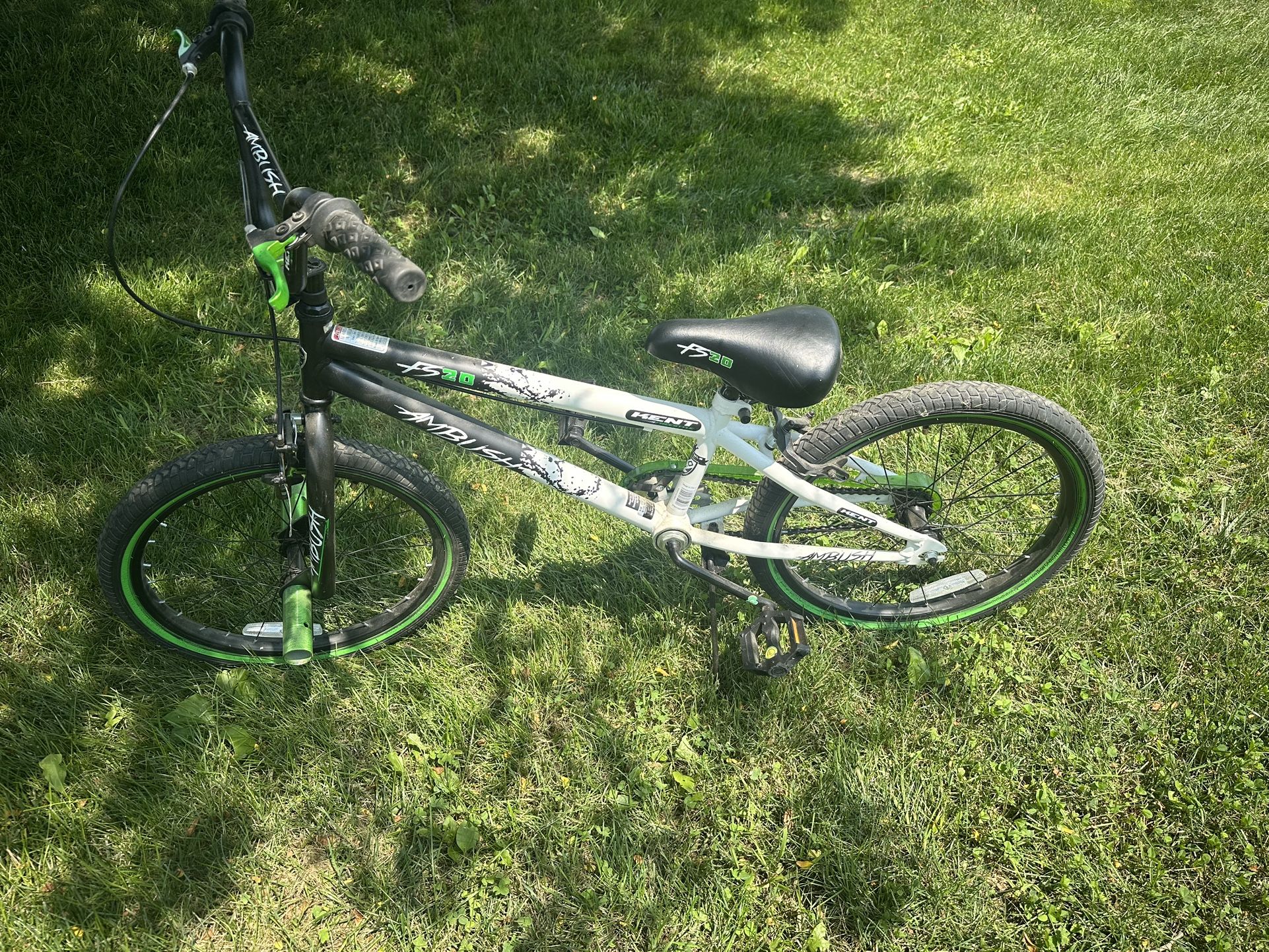20 Inch Boys Bike
