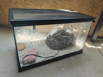 Reptile tank bearded dragon tank with heat rock and hide cave