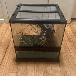 Glass Terrarium 12 X 12 