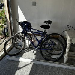 Trek Mountain Bikes