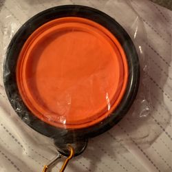 Pop Up Dog Bowl
