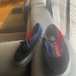 Shoes Vans Collectible 