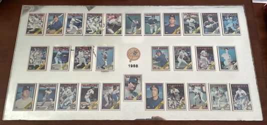 1988 NY Yankees Baseball Team Cards Display